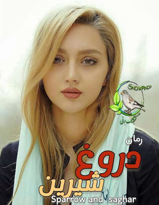 رمان دروع شیرین اثر ساغر و اسپرو Saghar و Sparrow | دانلود | کتاب خوان — تصویر ۳