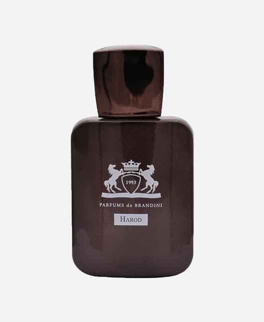 عطر جیبی برندینی طرح Harod مردانه