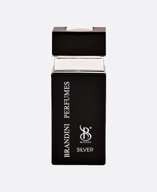عطر جیبی برندینی طرح سیلور سنت مردانه