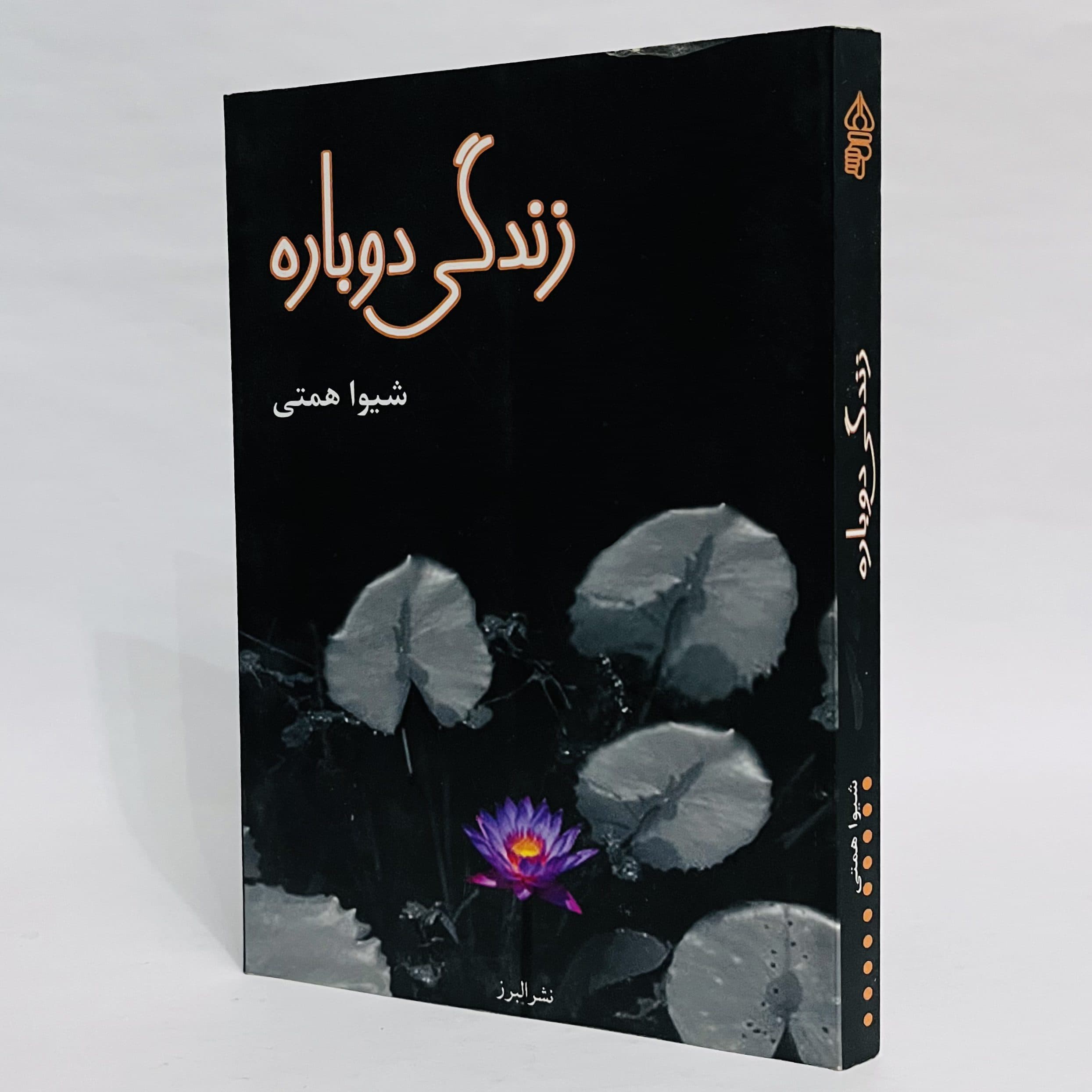 زندگی دوباره اثر شیوا همتی