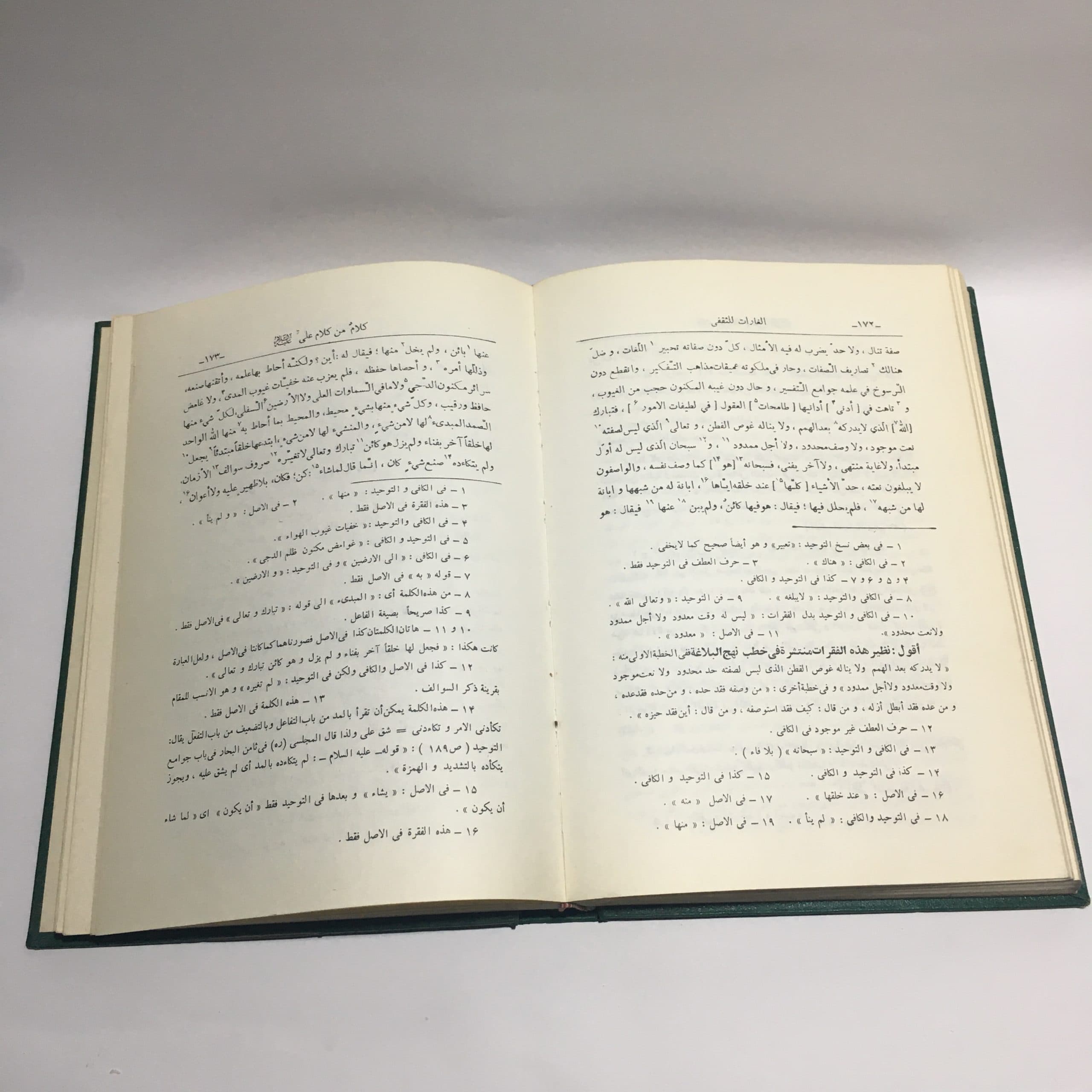 الغارات اثر ابراهیم بن محمد ثقفی کوفی | انجمن آثار ملی — تصویر ۹