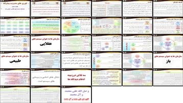 تئوری‌های سازمان سیستم‌های عقلایی، طبیعی و باز