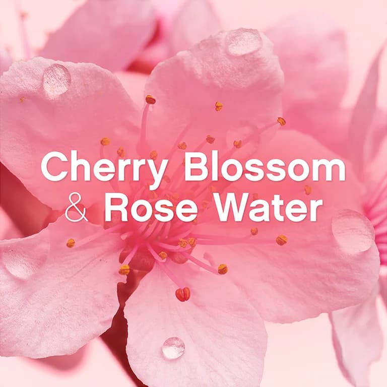 خوشبو کننده لباس ماشین لباسشویی شکوفه گیلاس و رز لنور 176 گرم Lenor In Wash Scent Booster Cherry Blossom and Rose Water 176g — تصویر ۳