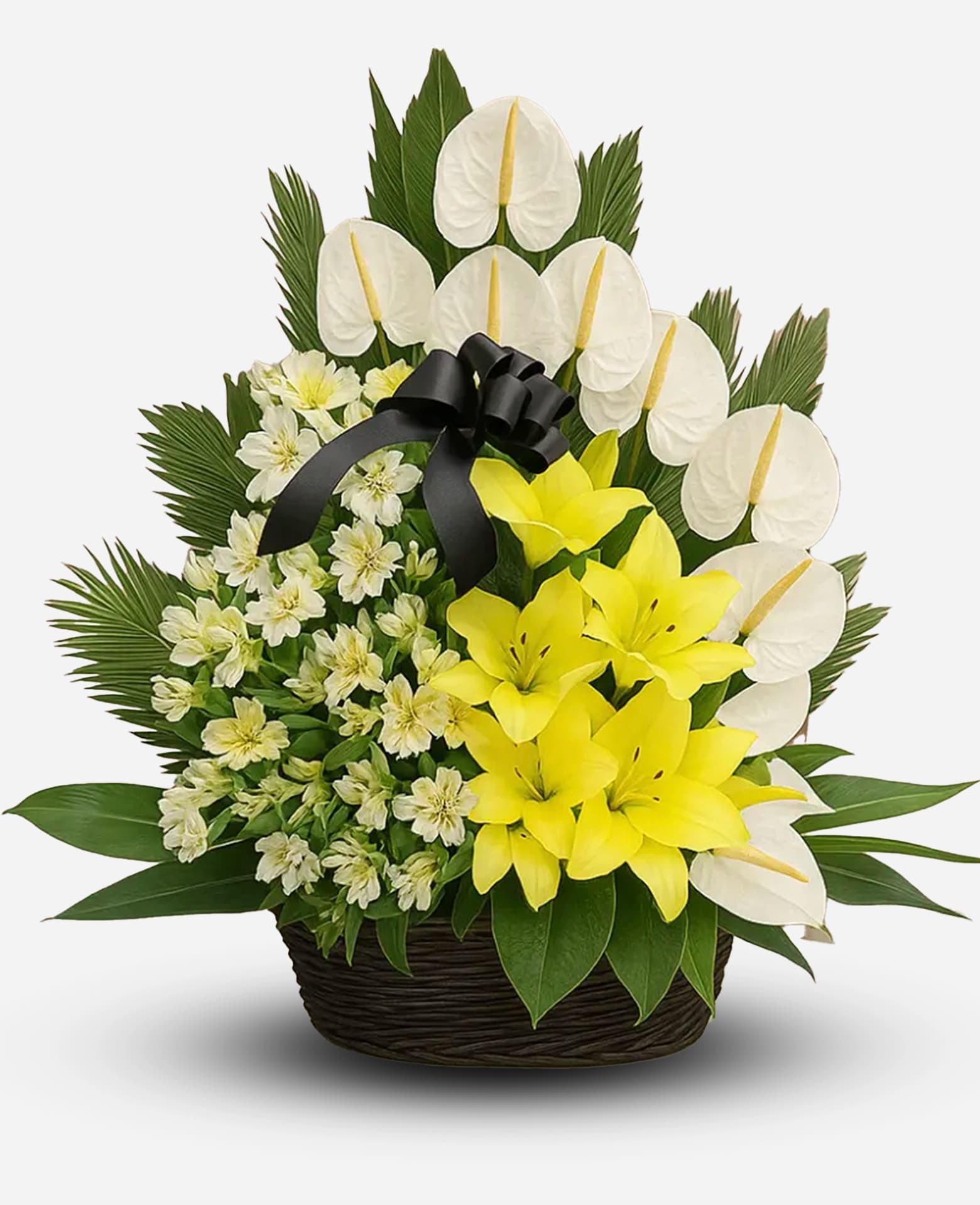 باکس گل ونوشه