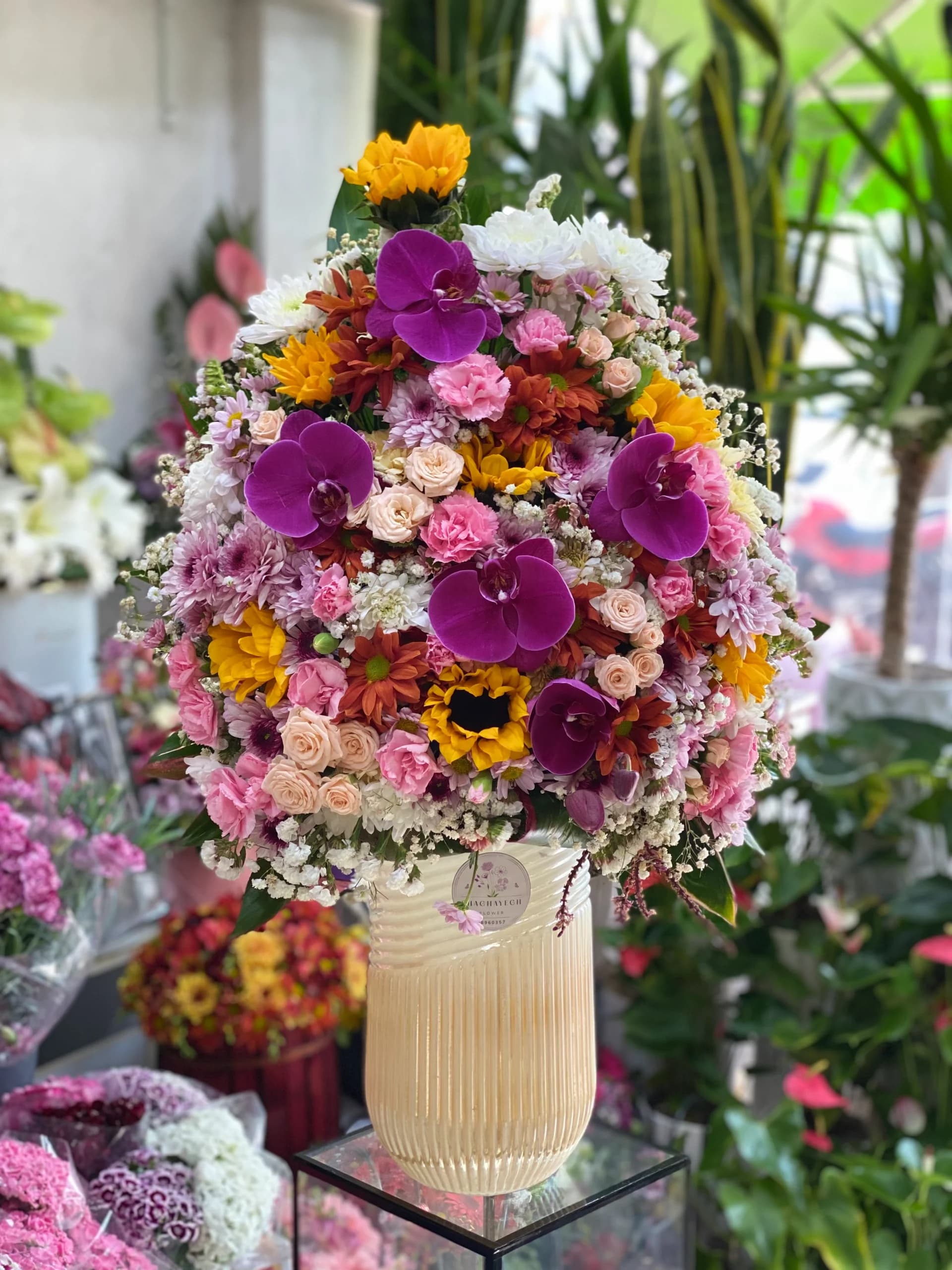 جام گل – گلکده شقایق — تصویر ۲