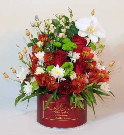 جعبه گل پرنیا