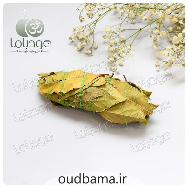 اسماج گیاهی برگ بو BAY LEAF