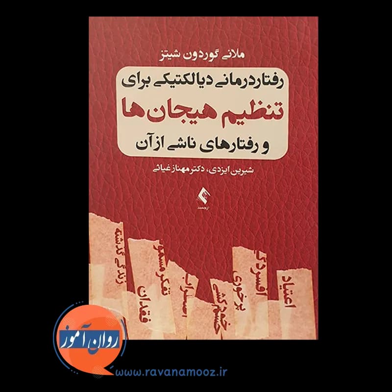 رفتاردرمانی دیالکتیکی برای تنظیم هیجان ها و رفتارهای ناشی از آن — تصویر ۵