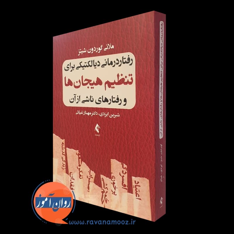 رفتاردرمانی دیالکتیکی برای تنظیم هیجان ها و رفتارهای ناشی از آن — تصویر ۴