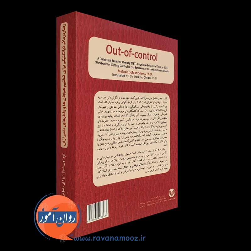 رفتاردرمانی دیالکتیکی برای تنظیم هیجان ها و رفتارهای ناشی از آن — تصویر ۳