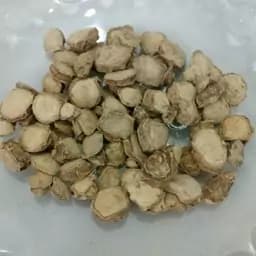 دمنوش جدوار -100 گرم — تصویر ۲