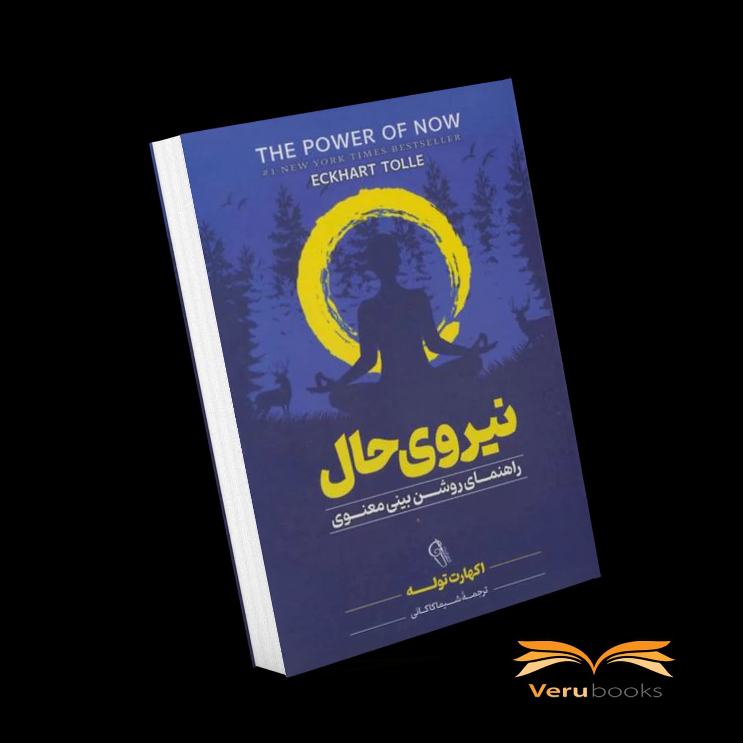 کتاب تمرین نیروی حال — تصویر ۲