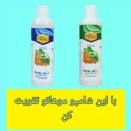 شامپو مغذی ژل رویال مناسب موهای معمولی — تصویر ۲
