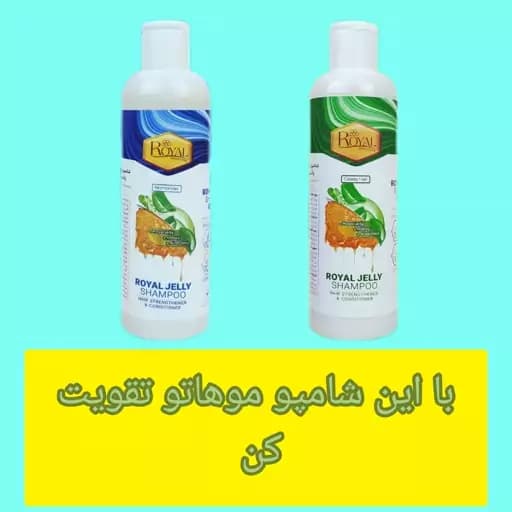 شامپو مغذی ژل رویال مناسب موهای معمولی — تصویر ۳