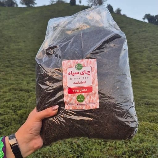 چای سیاه ممتاز لاهیجان 1 کیلوگرم