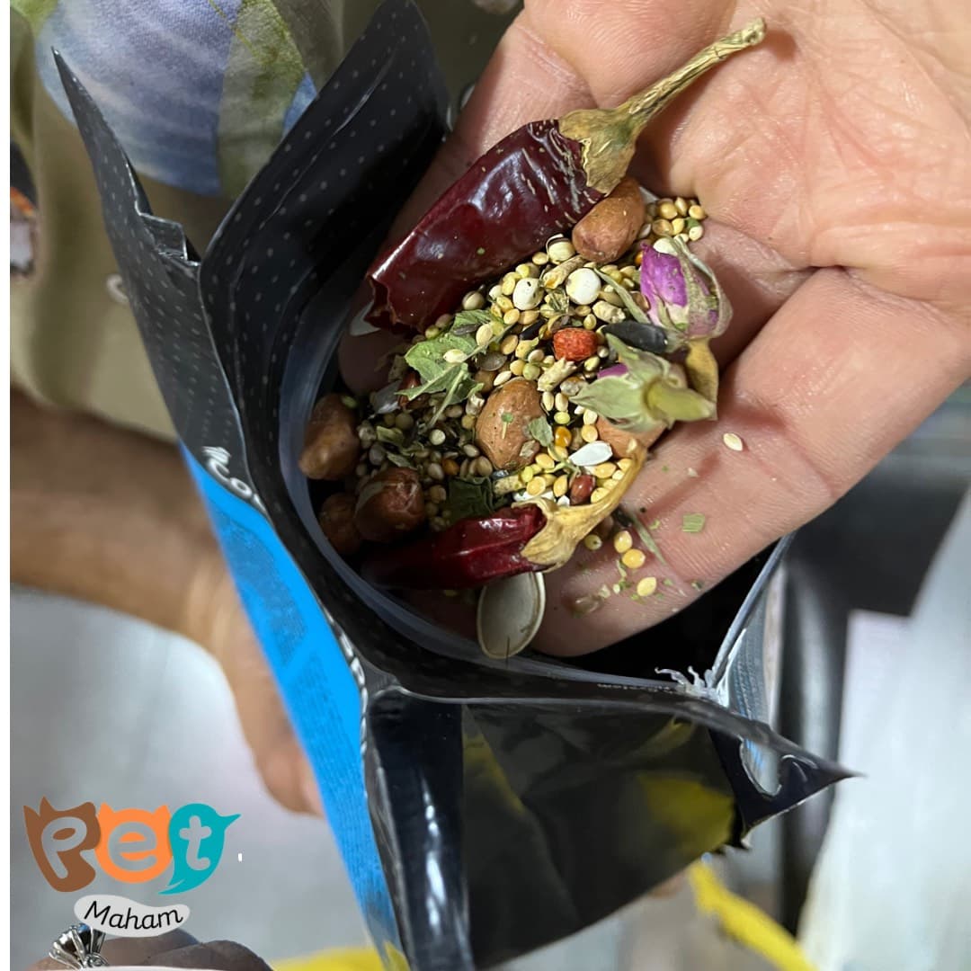 خوراک عروس هلندی کوکو همراه با جایزه 1260 — تصویر ۱۱