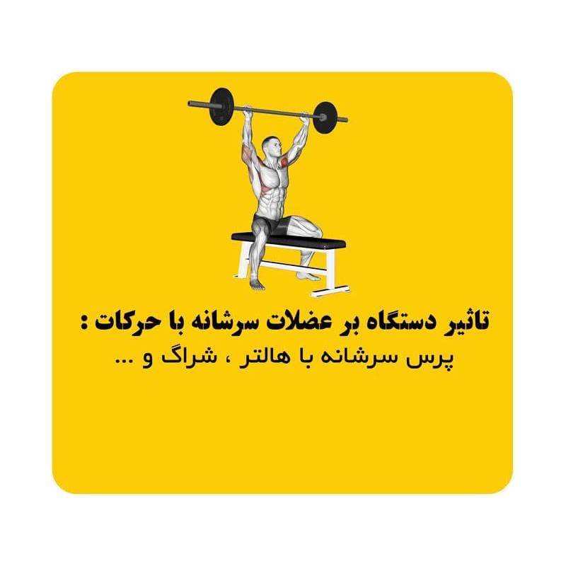 دستگاه رک اسکات به همراه نیمکت هیرو Hero half rack — تصویر ۱۲