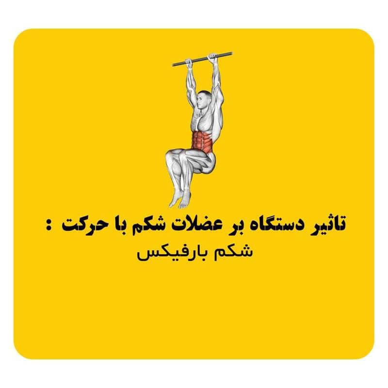 دستگاه رک اسکات به همراه نیمکت هیرو Hero half rack — تصویر ۳