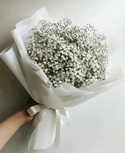 دسته گل ژیپسوفیلیا 1293