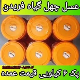 عسل چهل گیاه فریدن 6 تا 1کیلویی دشتی اصل(ارسال رایگان) — تصویر ۲