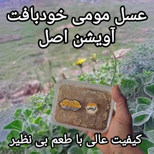 عسل مومی خود بافت آویشن نیم کیلویی اصل(ارسال رایگان با خرید 2 م از غرفه)