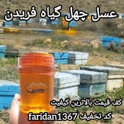 عسل چهل گیاه فریدن1کیلویی دشتی اصل(ارسال رایگان با خرید 2م از غرفه) — تصویر ۴