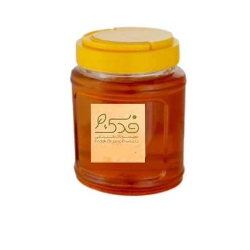 عسل گون طبیعی 5ستاره فدک (2کیلویی)