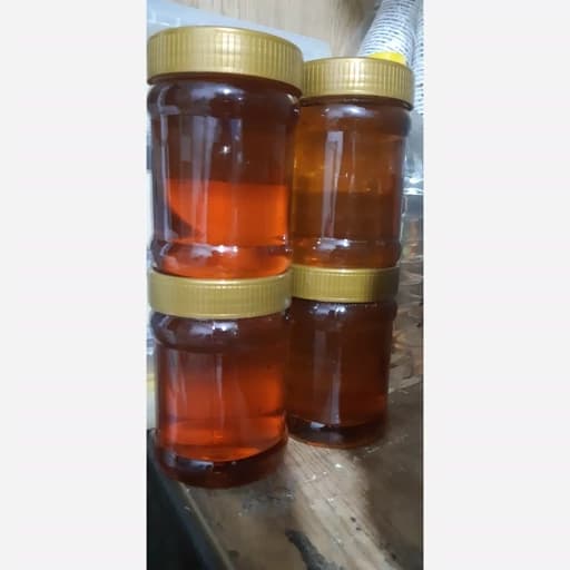 عسل تغذیه نیم کیلو گرمی