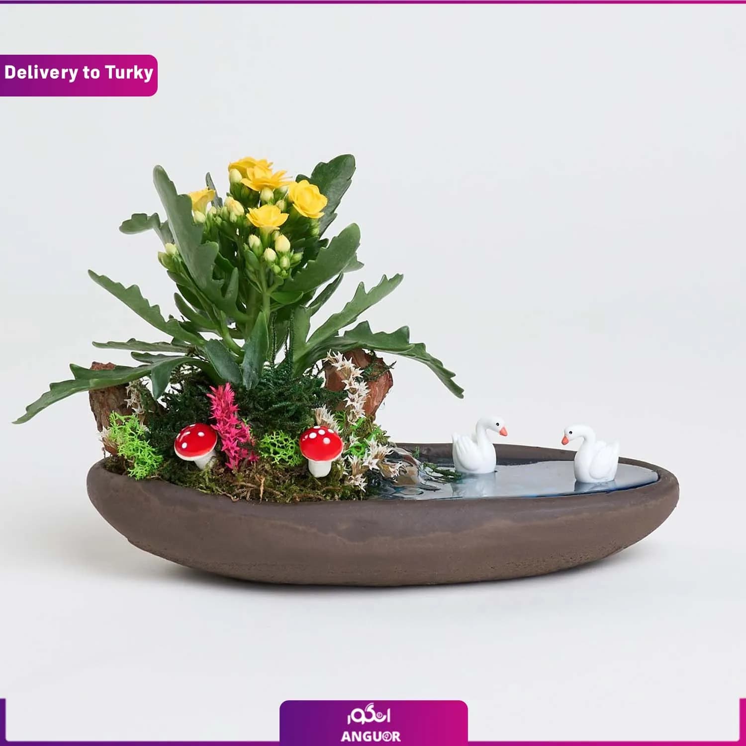 دکوری بهاری با گل کالانکوئه (ارسال گل به ترکیه)
