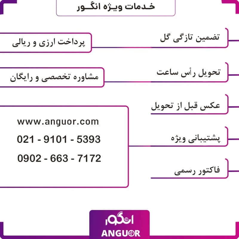 جام گلدان ارکیده سفید مصنوعی (10 شاخه) — تصویر ۲