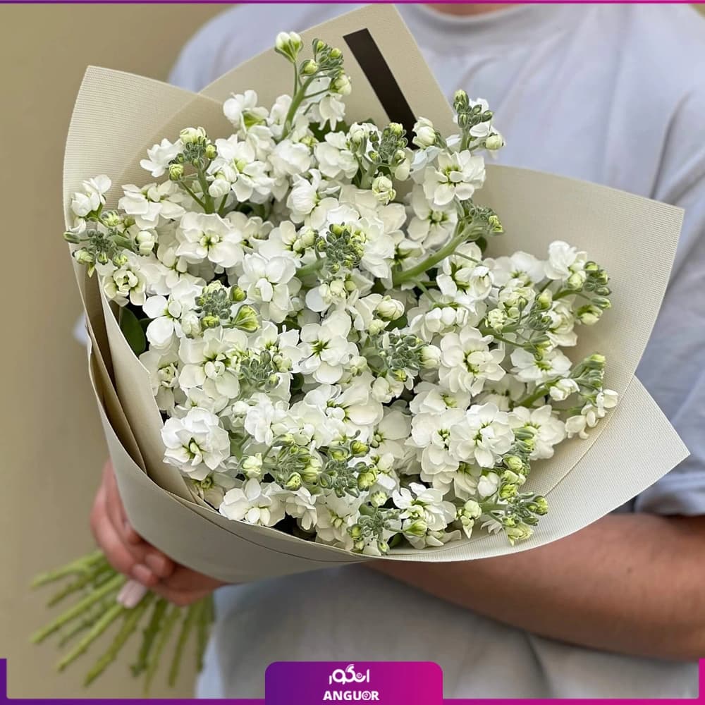 دسته گل شب بو سفید 19 شاخه