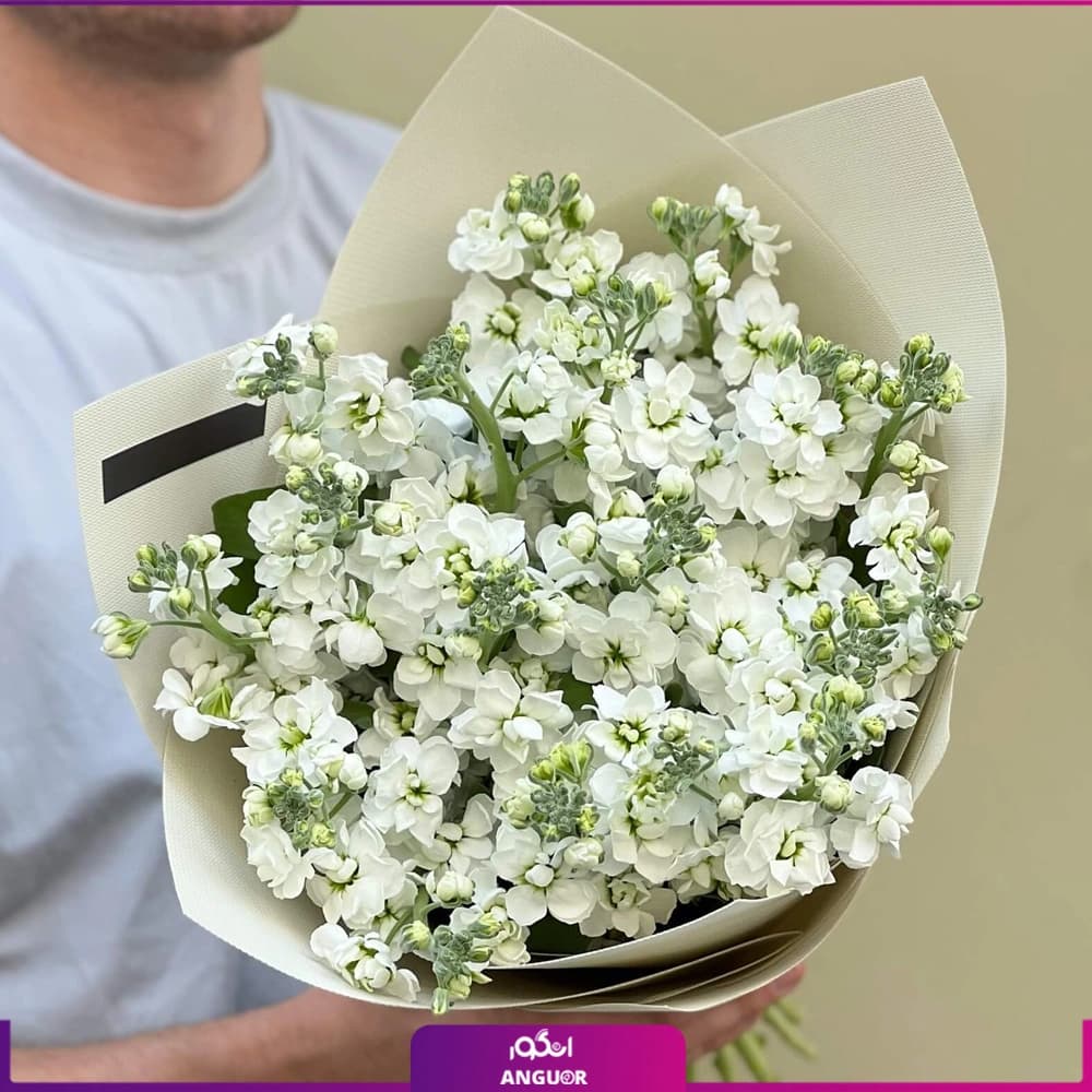 دسته گل شب بو سفید 19 شاخه — تصویر ۲