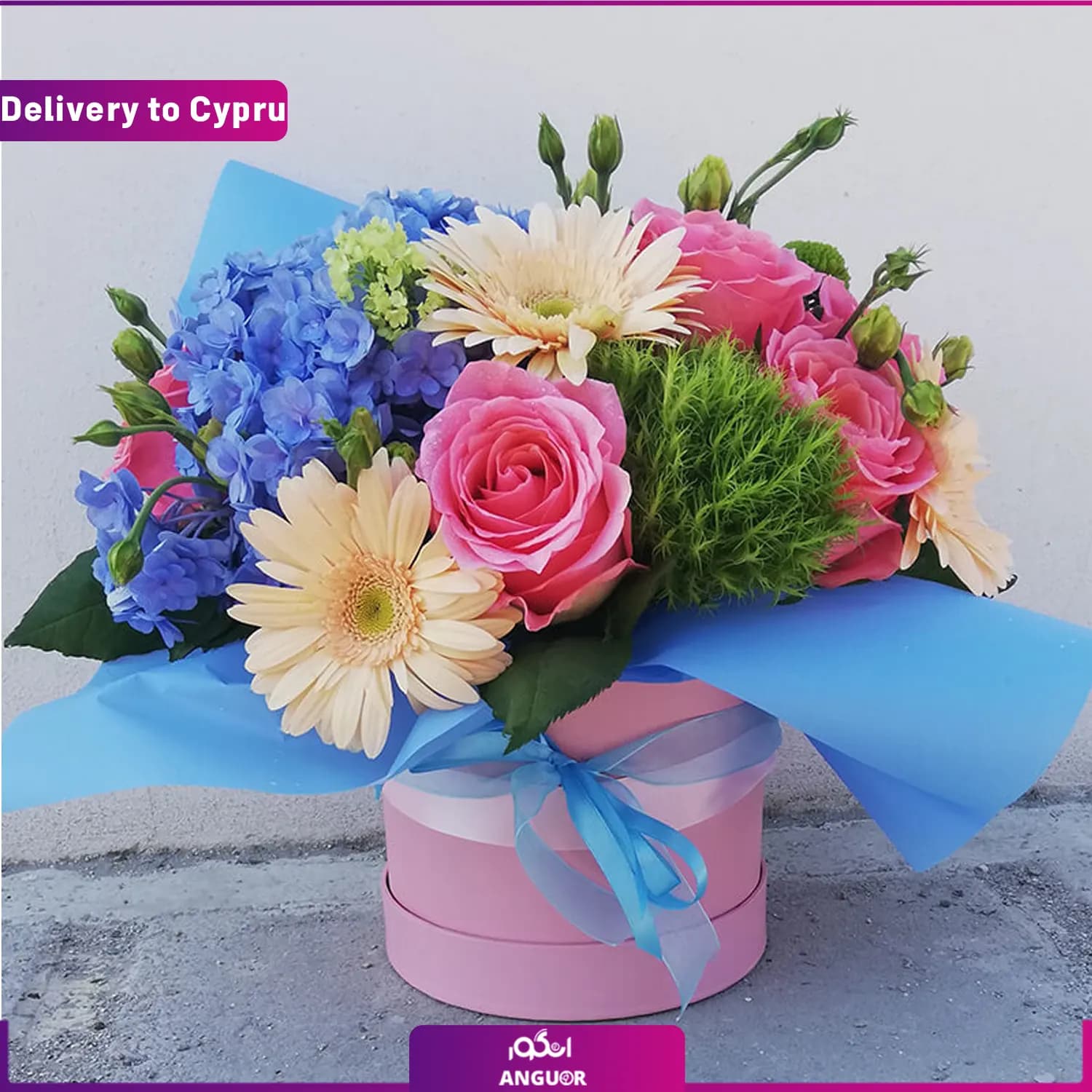 باکس گل (ارسال گل به قبرس)