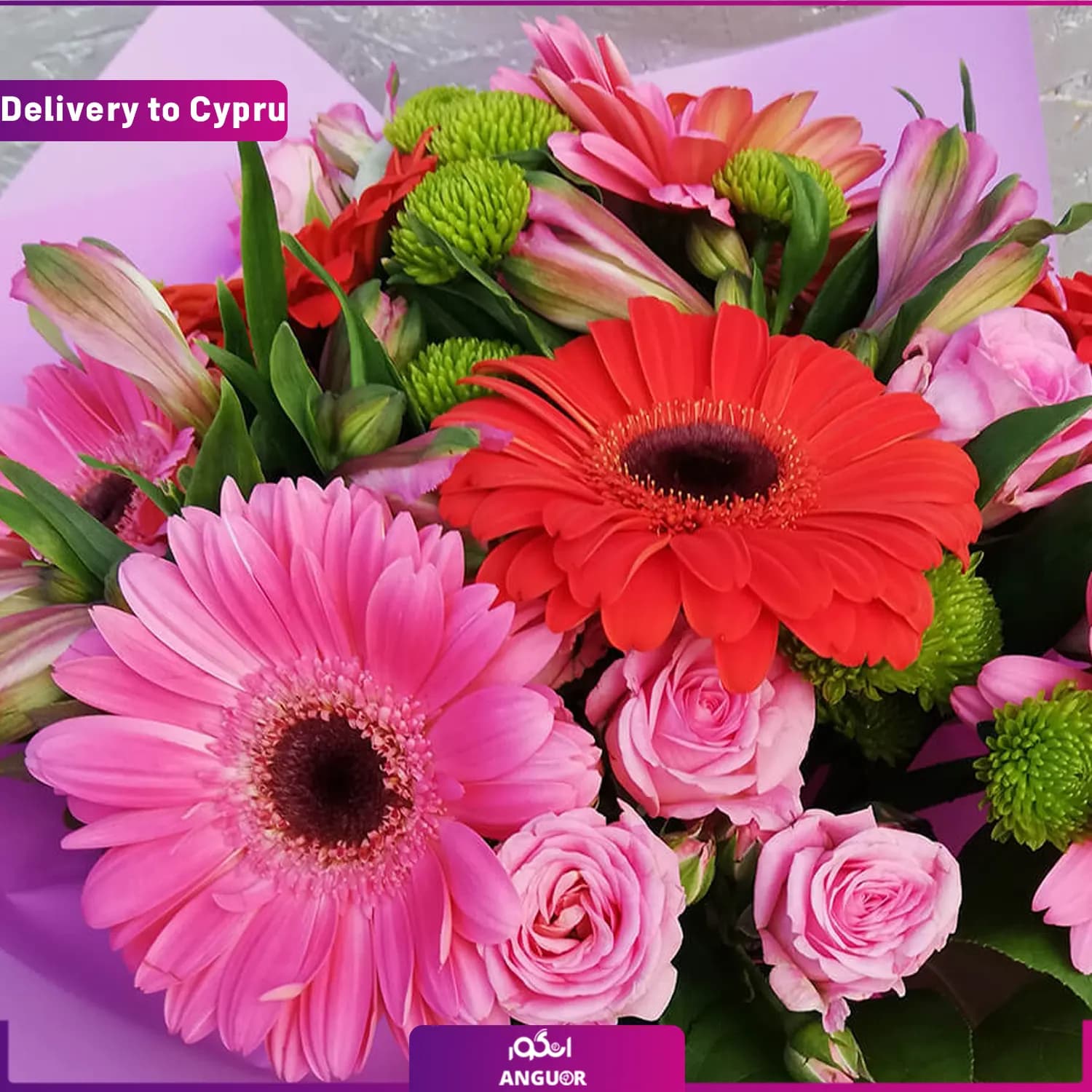 دسته گل ژربرا (ارسال گل به قبرس) — تصویر ۲