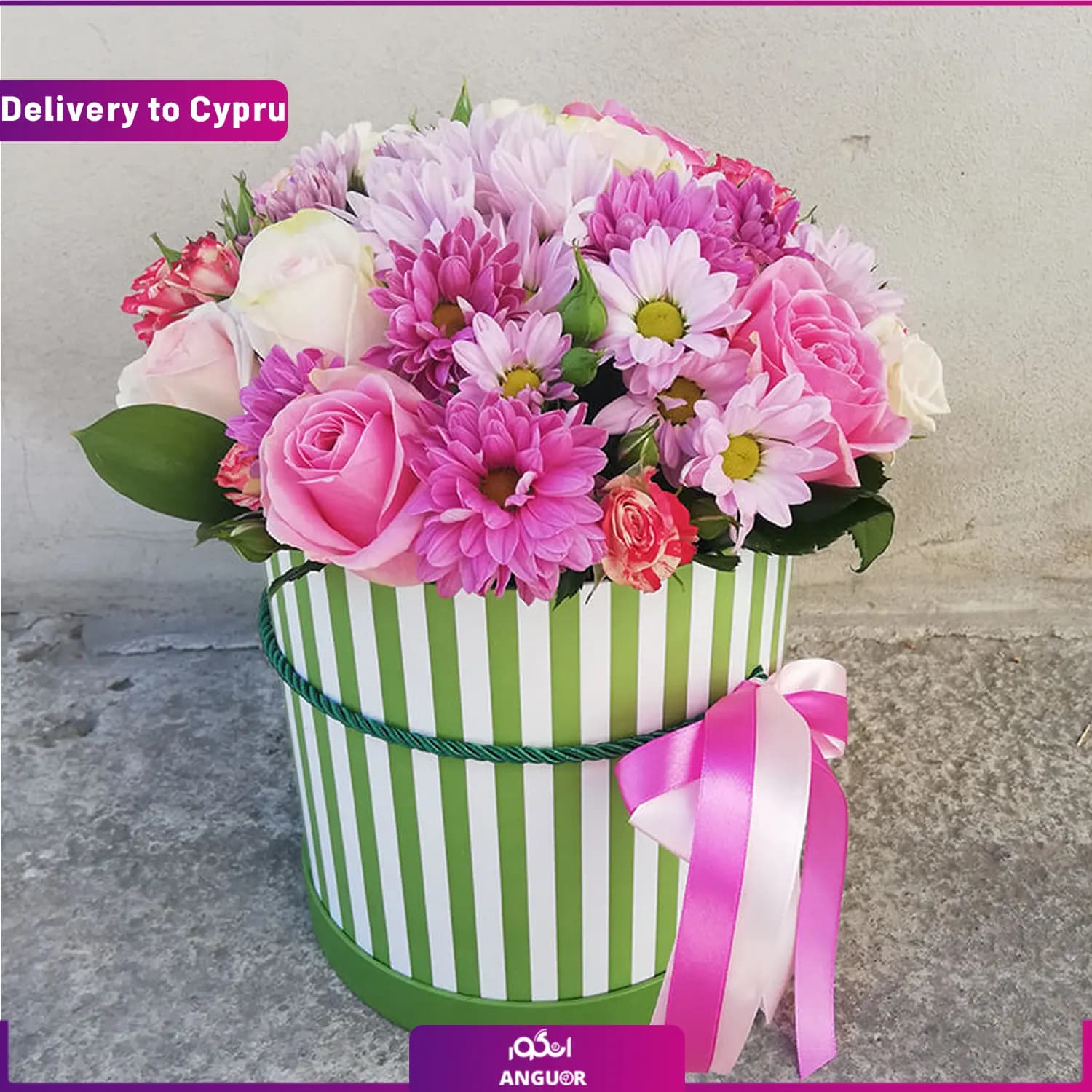 باکس گل داوودی (ارسال گل به قبرس)