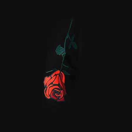 تیشرت زنانه لانگ طرحدار مشکی مدل TL22112 — تصویر ۱۱