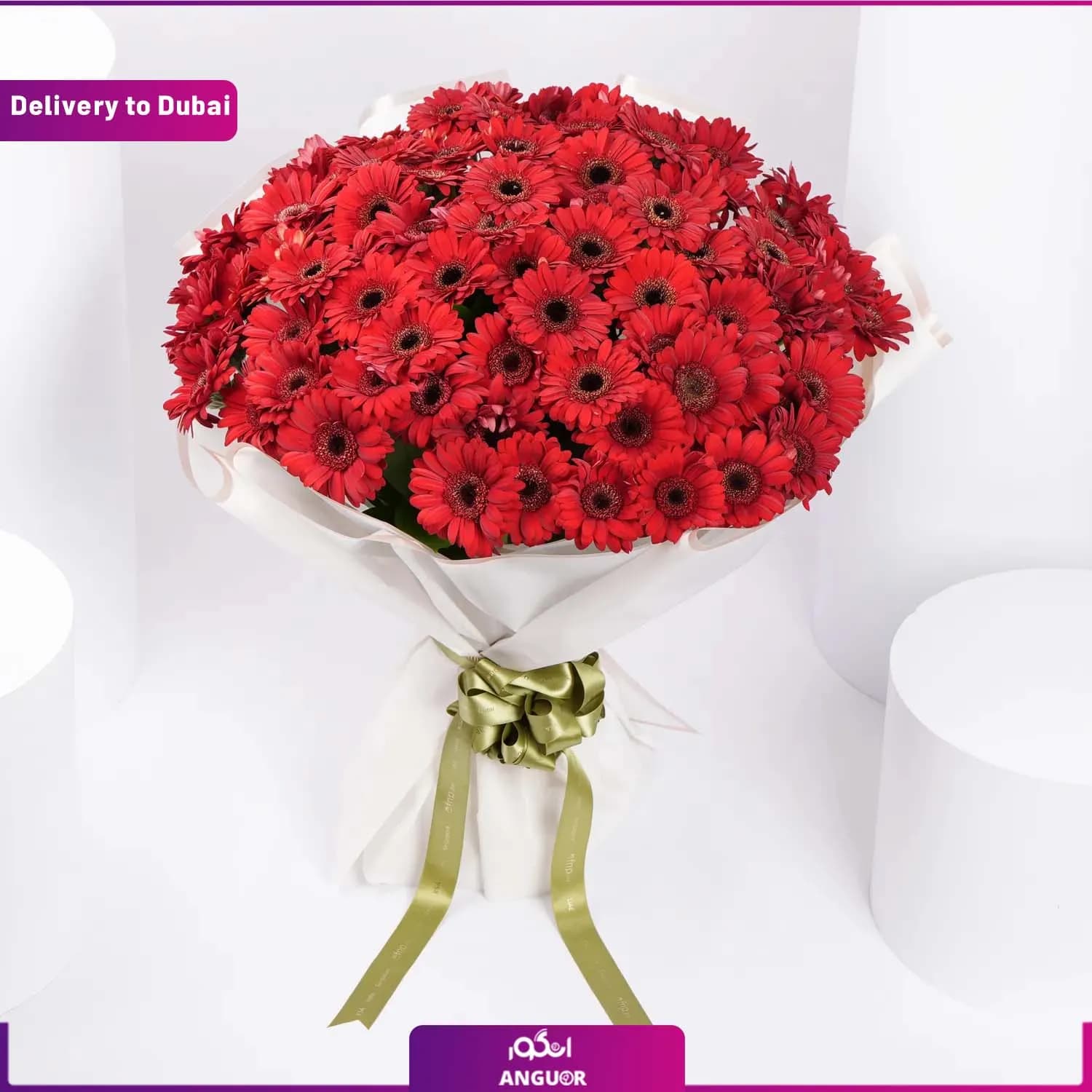 دسته گل ژربرا قرمز (دبی و امارات)