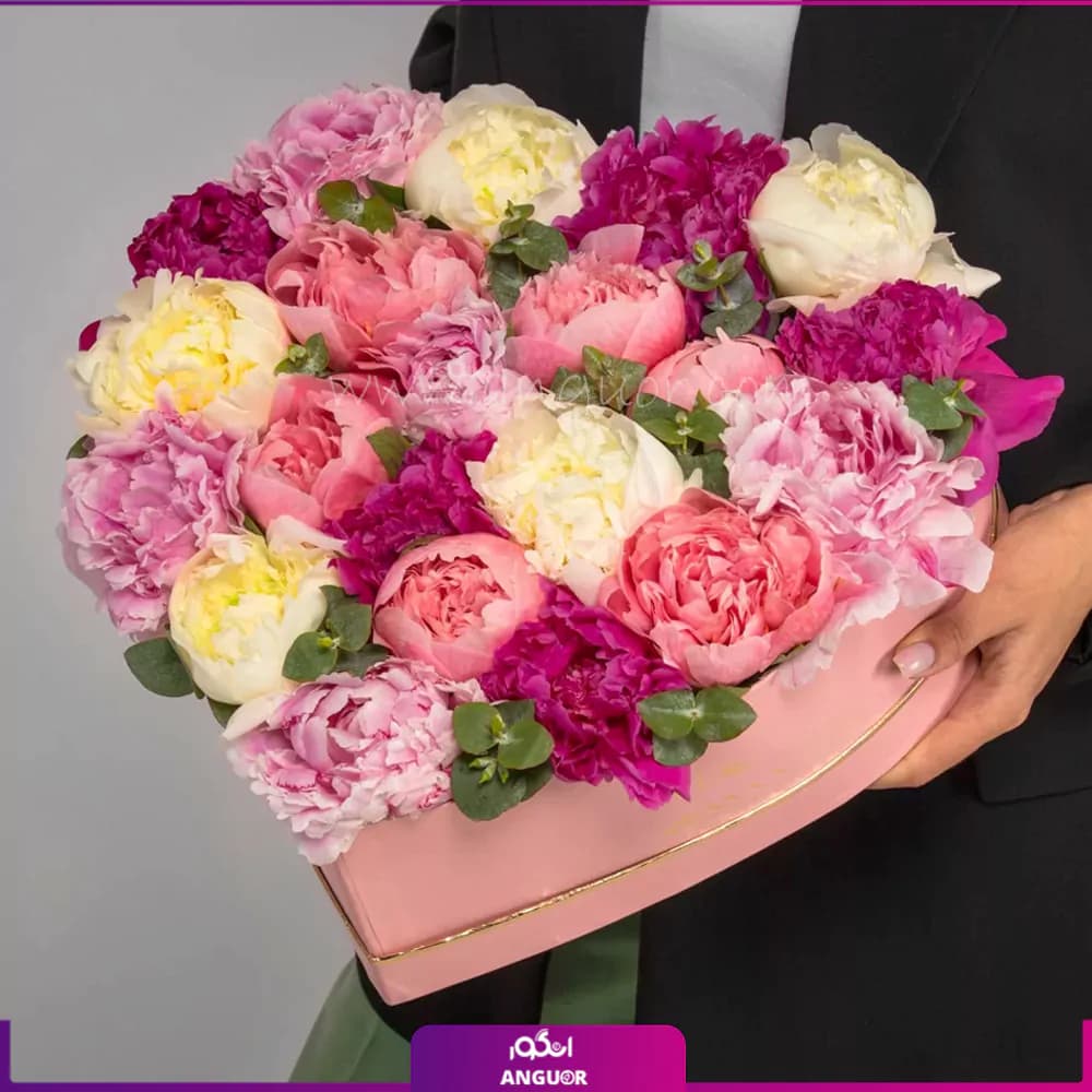 باکس گل پیونی شاه پری