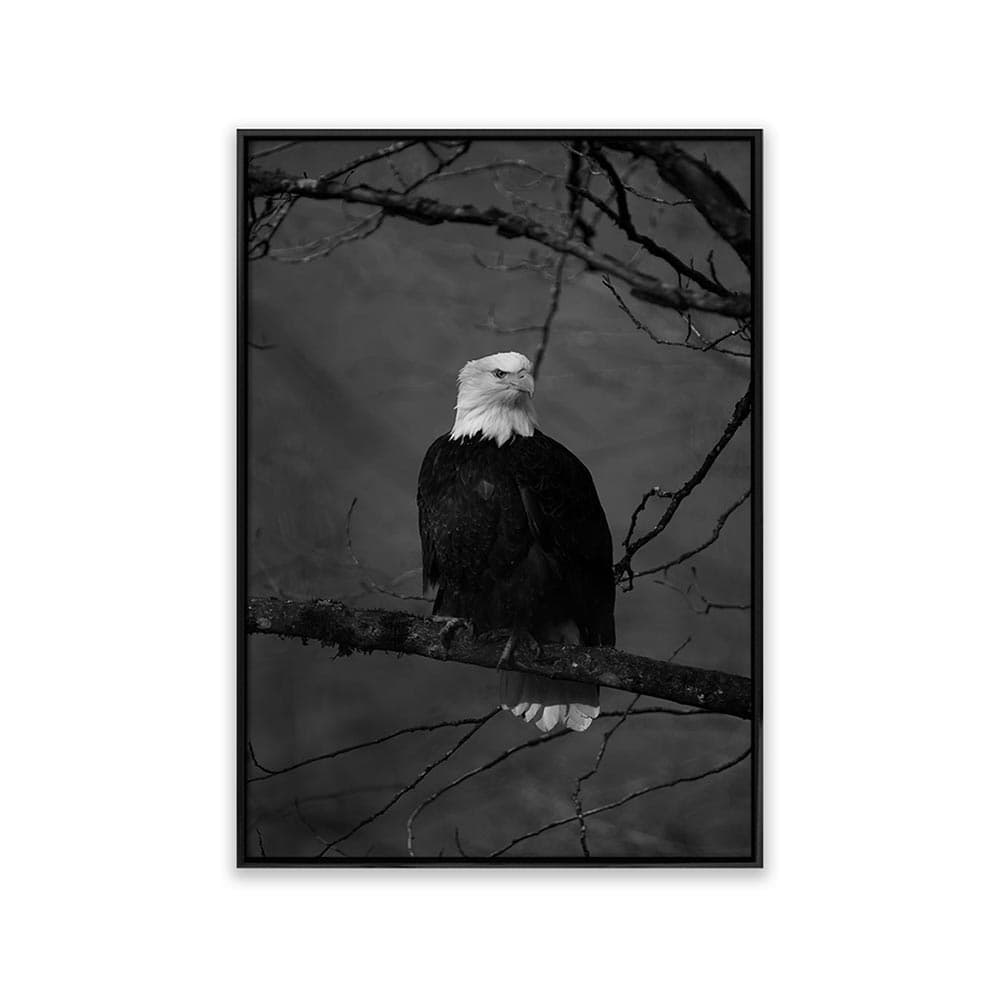 تابلو عقاب T10062310 — تصویر ۳