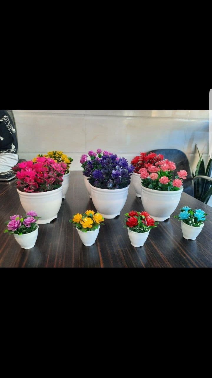 گل دکوری — تصویر ۲