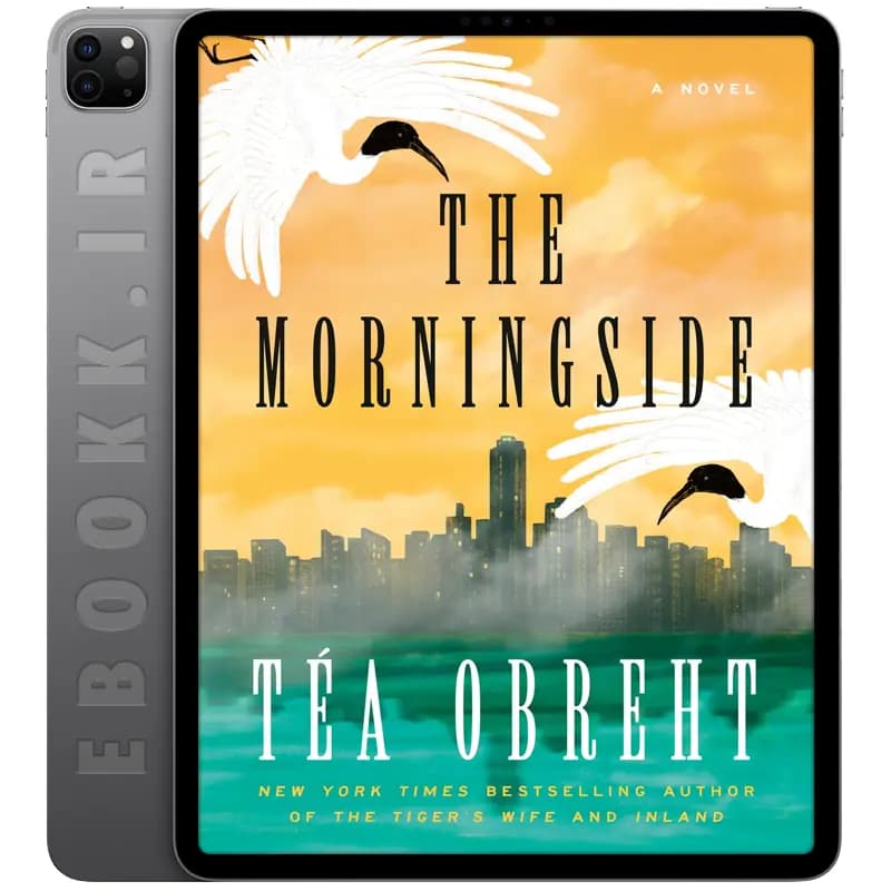 دانلود کتاب The Morningside 2024