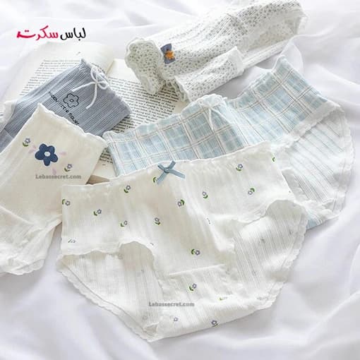 شورت اسلیپ زنانه بسته 3عددی 387 — تصویر ۵