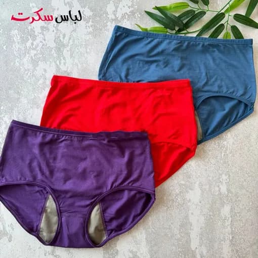 شورتکس پریودی زنانه 8962 — تصویر ۶