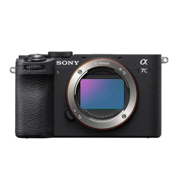 دوربین سونی Sony a7C II Mirrorless Camera (Silver) — تصویر ۹