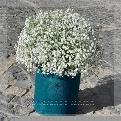 با قیمت سبد گل ارزان بدون حرف اضافه، توجه و محبتت را نشان بده