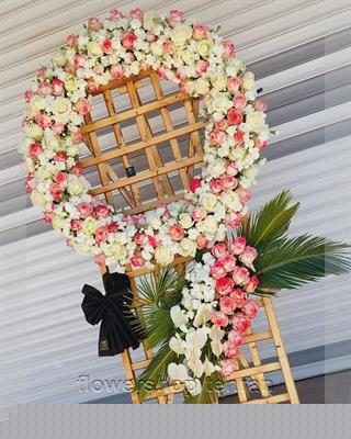 بذر گل رز هفت رنگ مناسب شرکت‌ها، مطب‌ها و فضاهای اداری