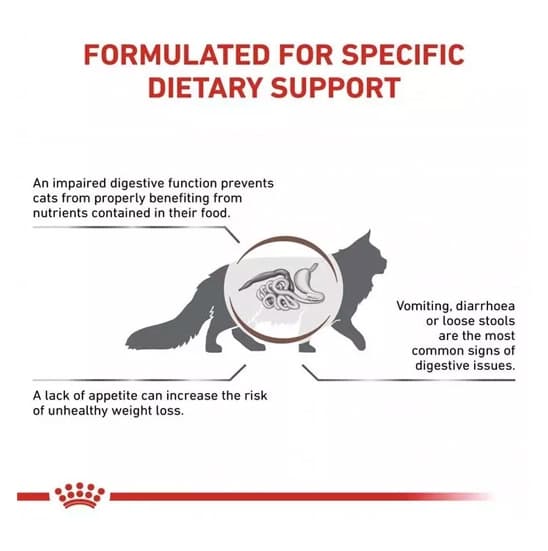 غذای خشک گربه درمانی رویال کنین Royal Canin Gastrointestinal وزن 2 کیلو گرم — تصویر ۵