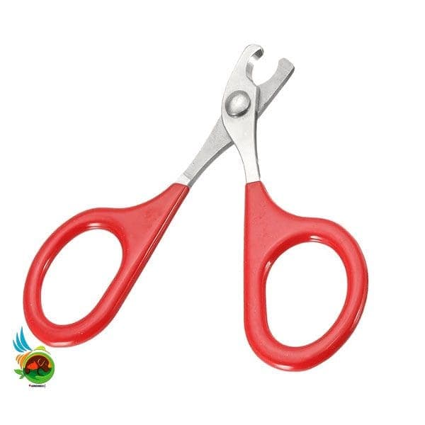 ناخن گیر سگ، گربه و جوندگان مدل قیچی سایز کوچک Pet beauty nail clippers — تصویر ۵