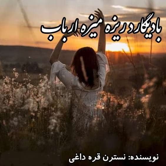 رمان بادیگارد ریزه میزه ارباب نویسنده: نسترن قره داغی | دانلود | کتاب خوان