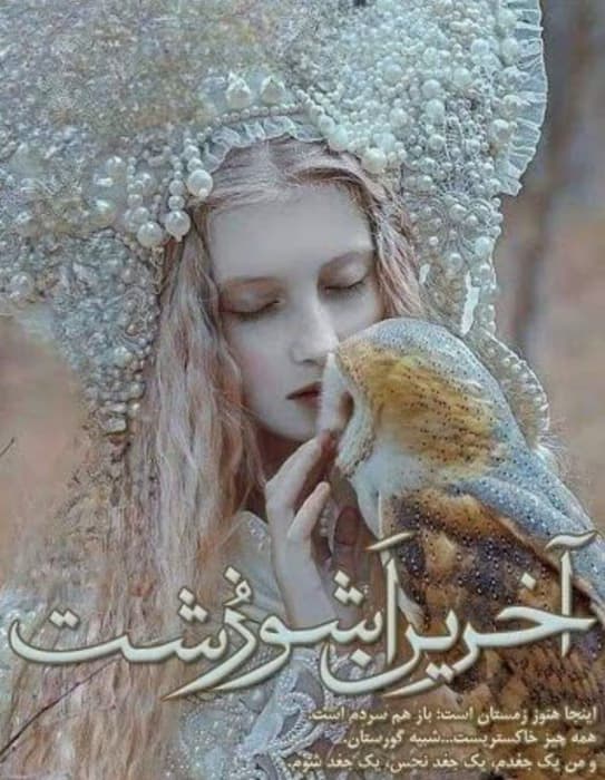 رمان آخرین آشوزشت | دانلود | کتاب خوان